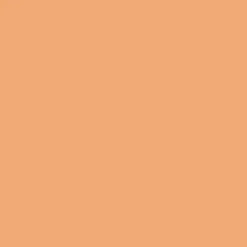 Ultra-Professional Washable Paint – MITLEI, Ferrara Design Draft Ferrara Design North UK