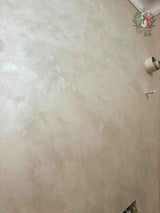 Dolcevita Decorative Paint can be used in a modern room 