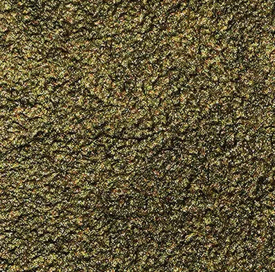 Duomo Ferrara Design North UK