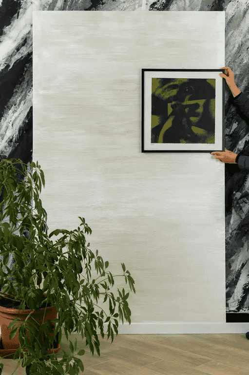 Modern white textured wall with framed artwork and potted plant