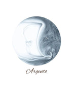 Luxury Argento Metallic paint 