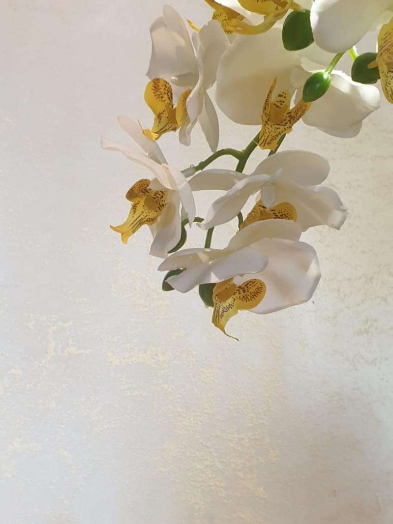 Aurora – The Golden Glow of Elegance