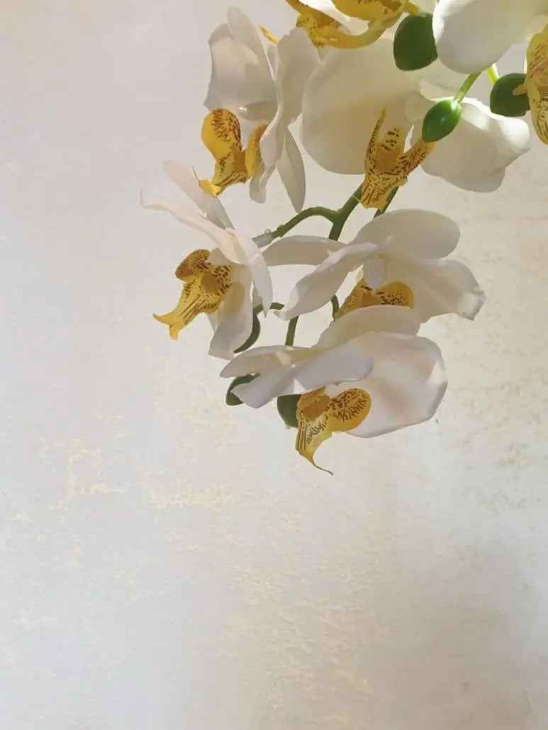 Aurora – The Golden Glow of Elegance Ferrara Design North UK