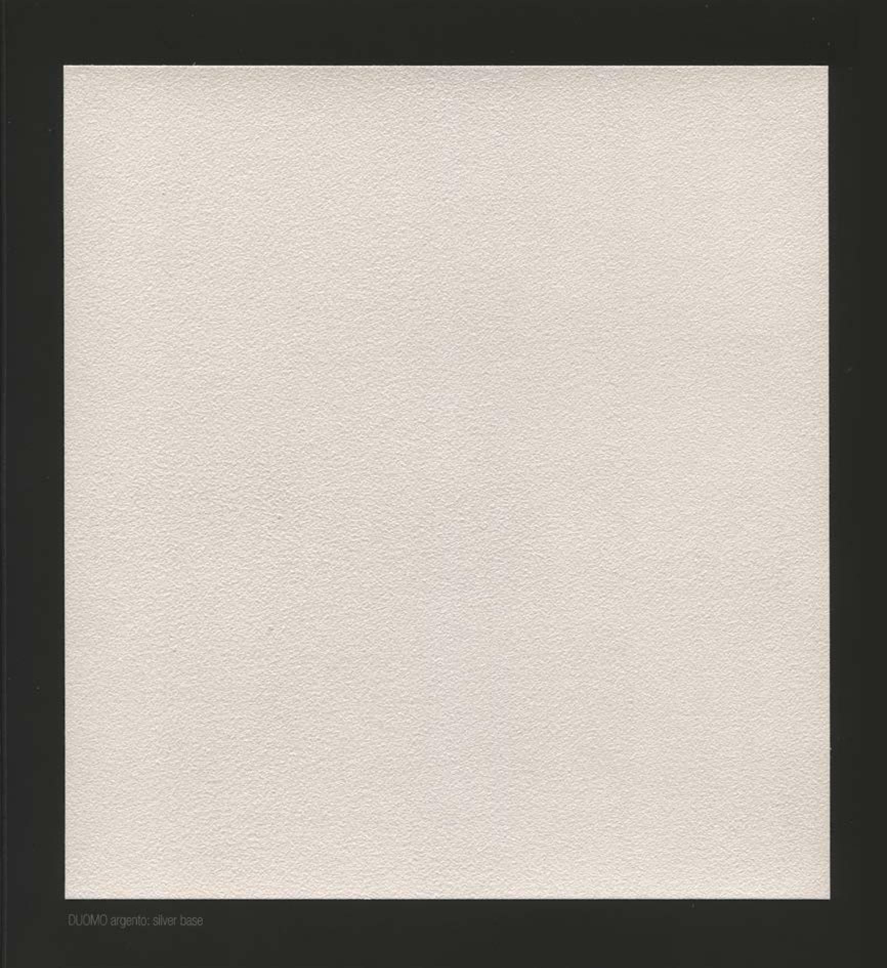 Duomo Decorative Paint – Ferrara Design — Water-based Interior Finish