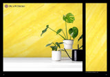 Yellow Venetian marble effect plaster wall with green and black vases and potted plant