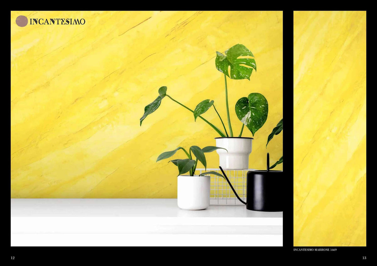 Yellow Venetian marble effect plaster wall with green and black vases and potted plant